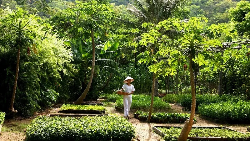 Hotel Image 33