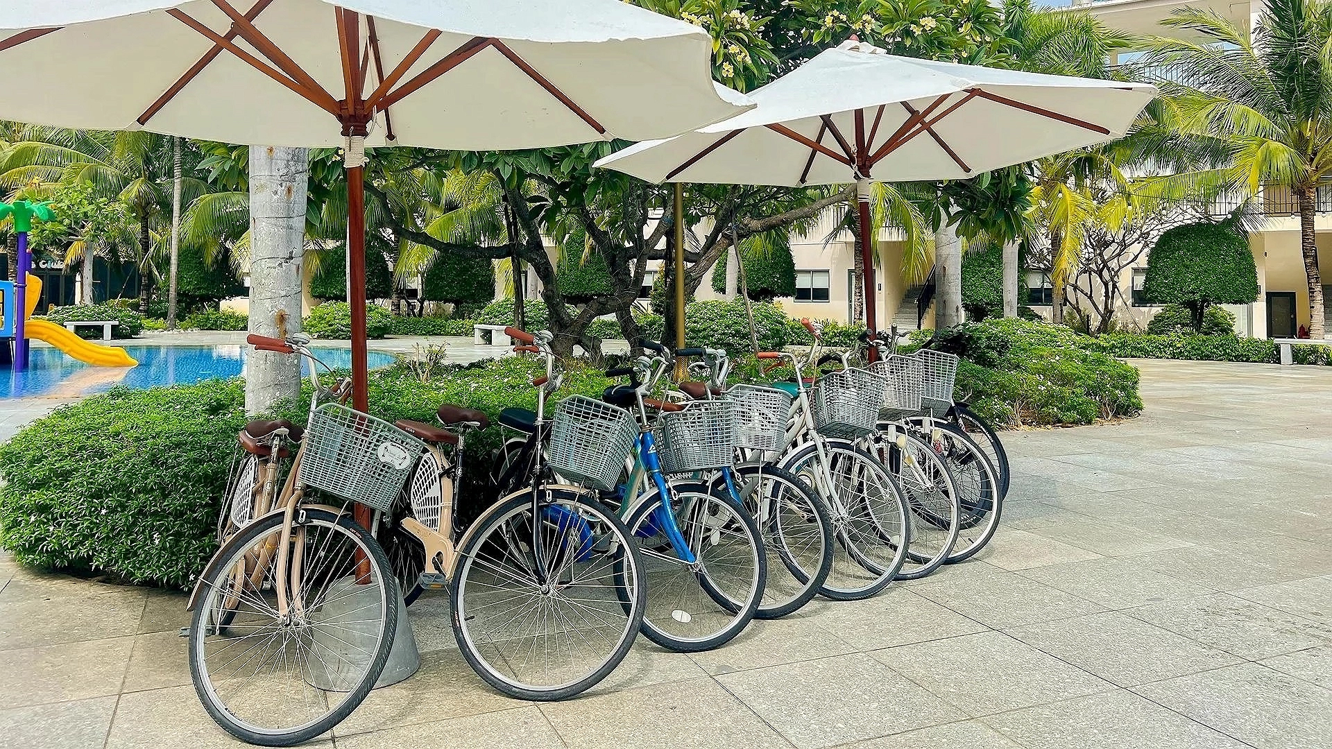 Hotel Image 11