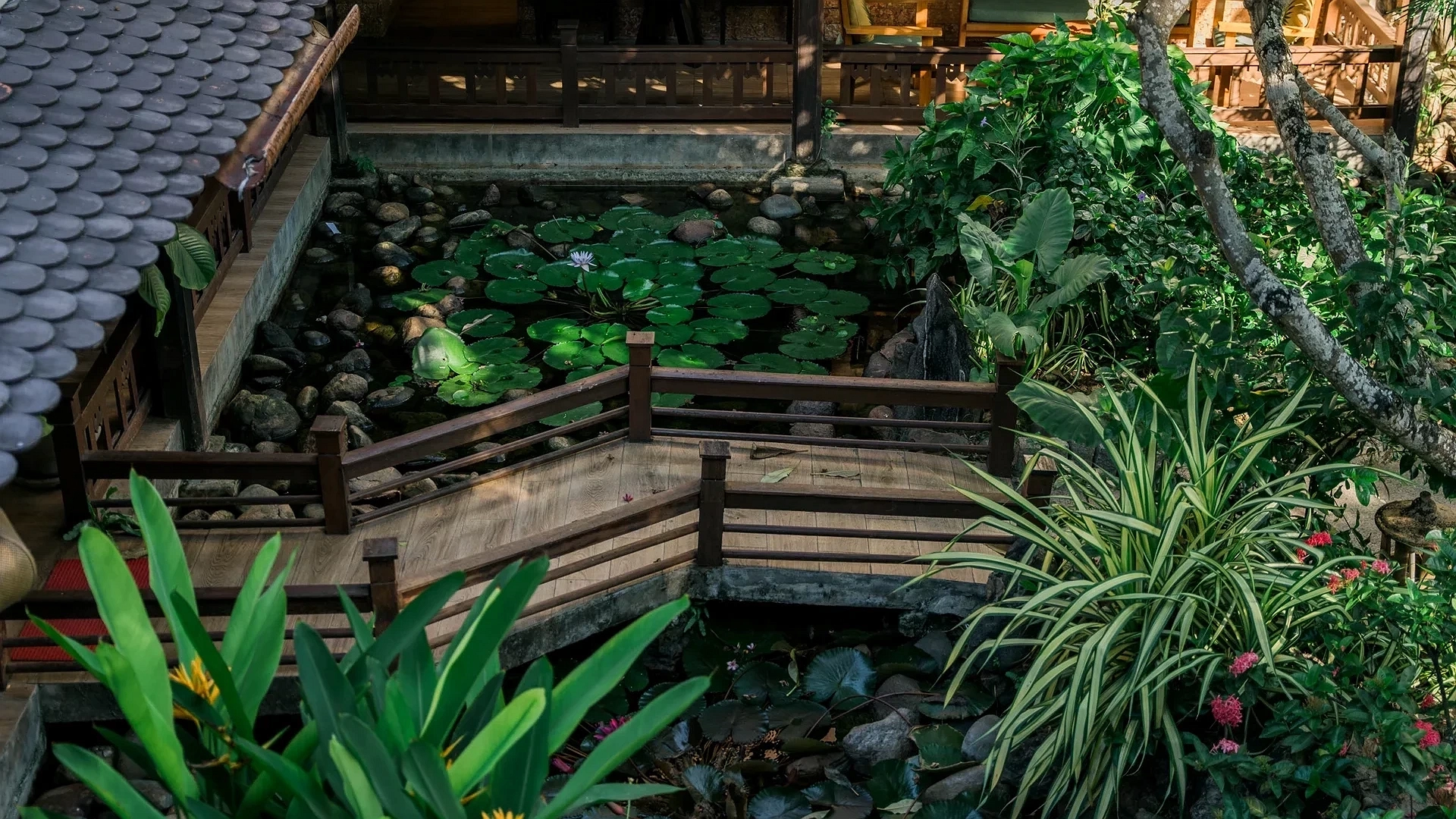 Hotel Image 12