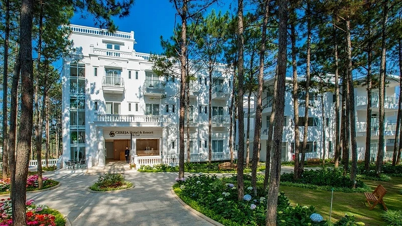 Hotel Image 7