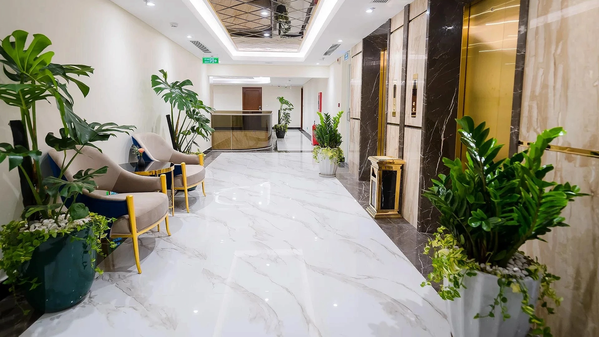 Hotel Image 8