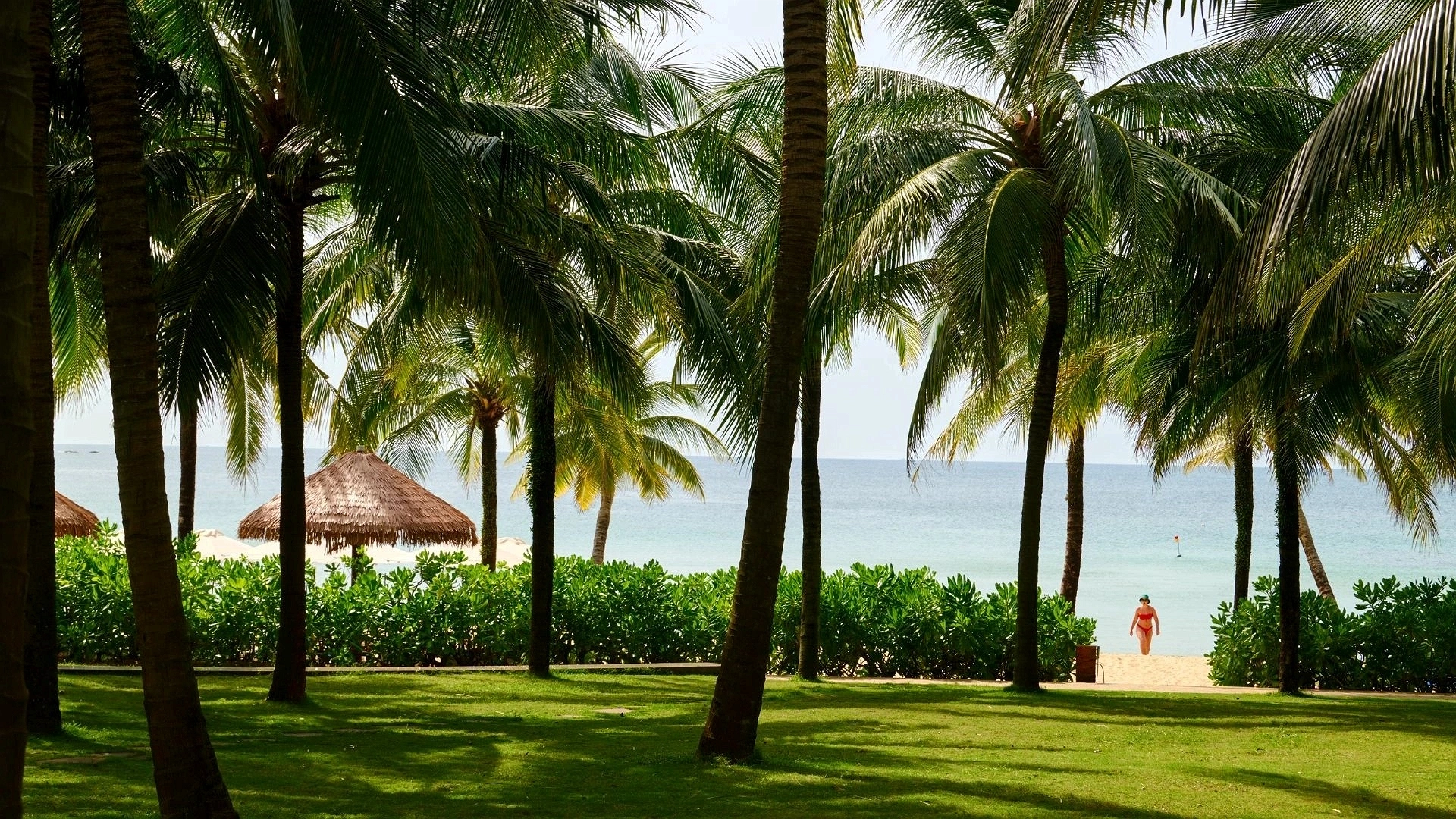 Hotel Image 9