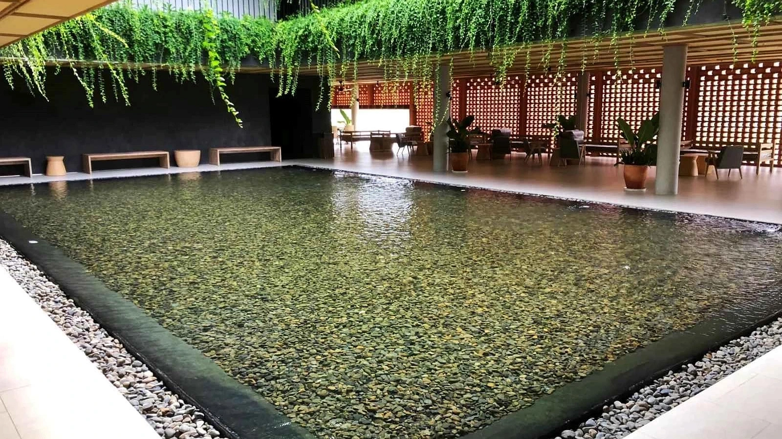 Hotel Image 7